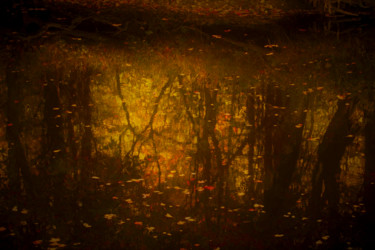 摄影 标题为“New Hampshire Autum…” 由Bavosi Photoart, 原创艺术品, 数码摄影