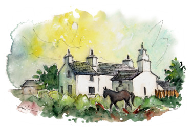 绘画 标题为“A Horse In Anglesey” 由Miki De Goodaboom, 原创艺术品, 水彩