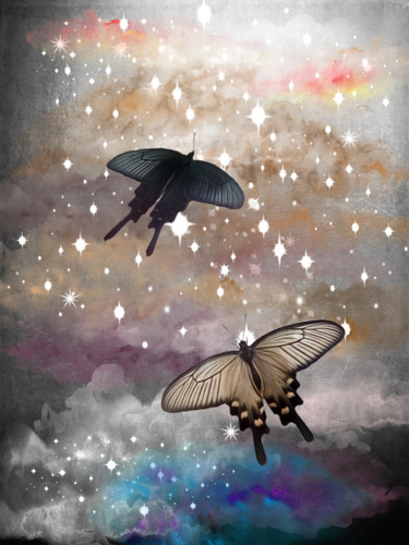 Digital Arts titled "Searching" by Roxana Ferllini, Original Artwork, 2D Digital Work