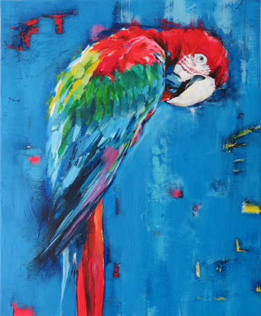 Perroquet fond bleu 65x54