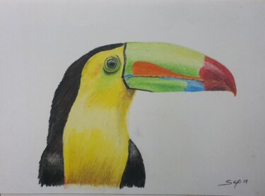 Peinture intitulée "Tucano" par São Vieira, Œuvre d'art originale, Crayon