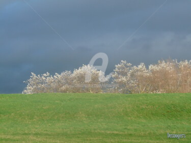 Photographie intitulée "Avant l'orage" par Desnoyers, Œuvre d'art originale, Photographie numérique