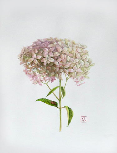 Peinture intitulée "Hydrangea" par Vera Grebennikova, Œuvre d'art originale, Aquarelle