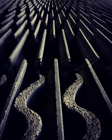 Photography titled "The Elegance of Pain" by Martin Vallis, Original Artwork, Digital Photography