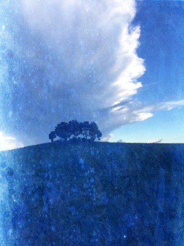 Le vent se lève