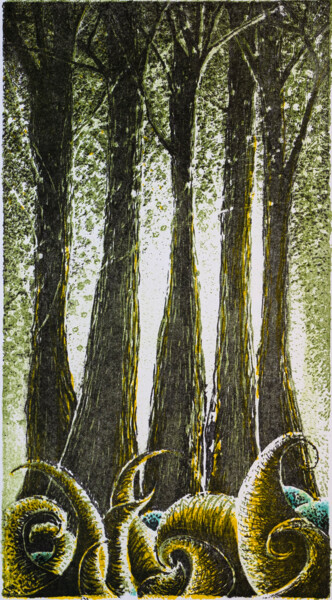 Printmaking titled "Les glaces de Nïom-…" by Fabrice Rivière, Original Artwork, Lithography