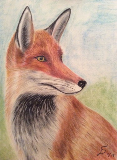 Malerei mit dem Titel "le renard / der Fuc…" von Stefan Dhein, Original-Kunstwerk, Pastell