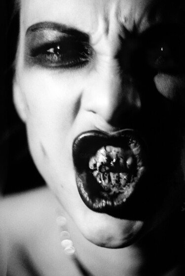 Photographie intitulée "Diamond Dogs 1" par Jean Luc Michon, Œuvre d'art originale, Photographie argentique Monté sur Alumin…