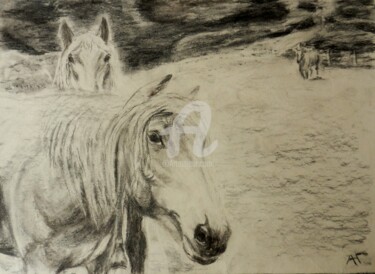Drawing titled "Лошади" by Andrei Gudkov, Original Artwork, Charcoal