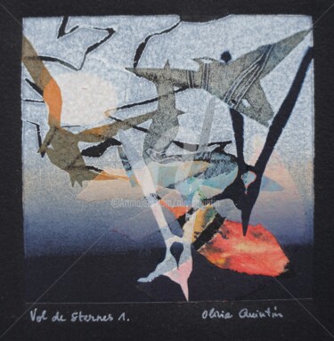 Vol de sternes 1