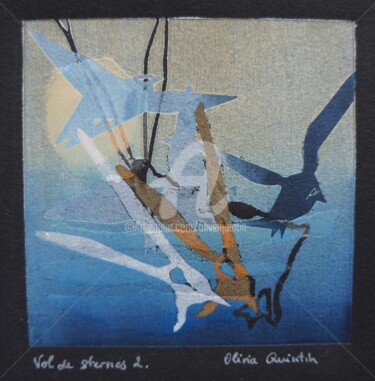 Vol de sternes 2