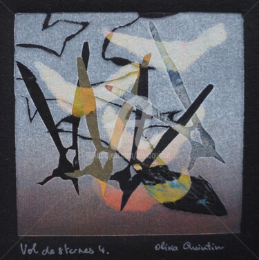 Vol de sternes 4