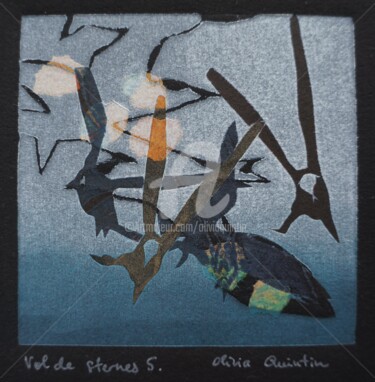 Vol de sternes 5