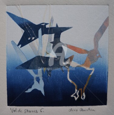 Vol de sternes 6