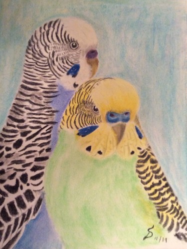 Malerei mit dem Titel "perruches 2/ Budgie…" von Stefan Dhein, Original-Kunstwerk, Pastell