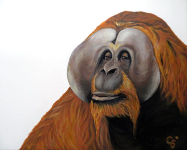Orang Outan