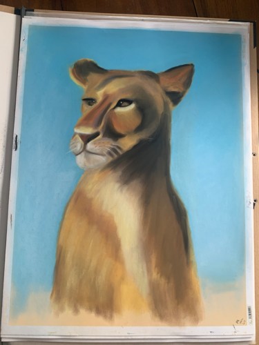 Peinture intitulée "Fauve" par Pierre Heiffel, Œuvre d'art originale, Pastel