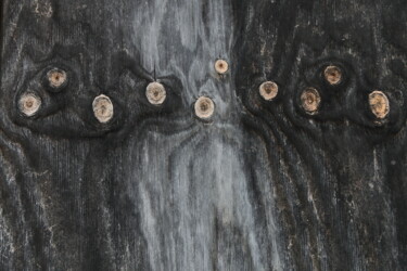 Photographie intitulée "Yeux dans la nuit" par Jacques Jégo, Œuvre d'art originale, Photographie non manipulée