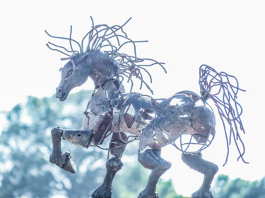 雕塑 标题为“Cheval” 由Jean Paul Constant, 原创艺术品, 兵马俑