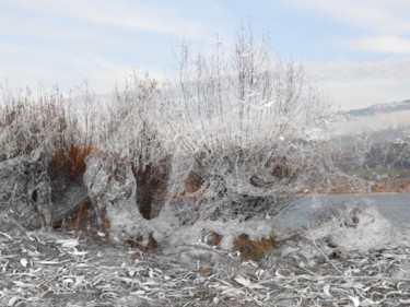 Givre au bord du lac de Gruyère VENDU