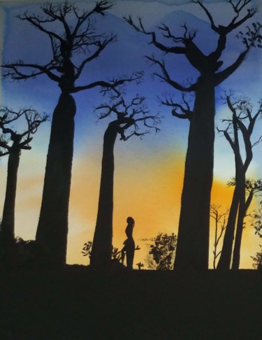 coucher de soleil allée des baobabs