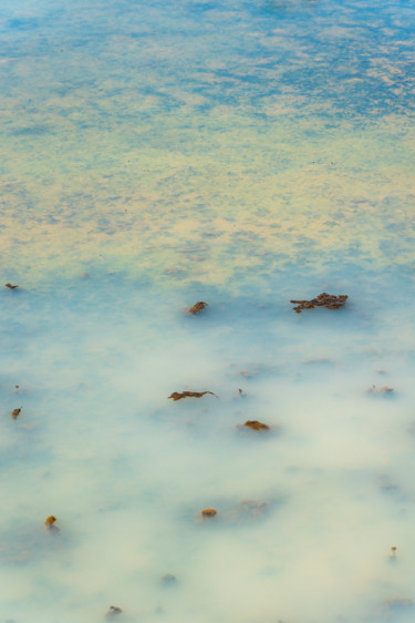 lait primordial Photography titled "lait primordial" by Elisabeth Laplante, Original Artwork, Digital Photography