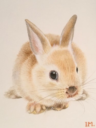 Peinture intitulée "Série Lulu n 4" par Isabelle Molinard, Œuvre d'art originale, Aquarelle