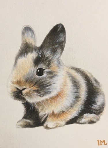 Peinture intitulée "Série Lulu n 6" par Isabelle Molinard, Œuvre d'art originale, Aquarelle
