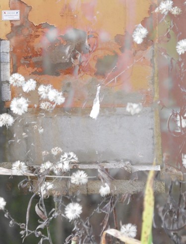 Juste quelques fleurs. Photographie intitulée "Juste quelques fleu…" par Claudine Ziga, Œuvre d'art originale, Photographie manipulée
