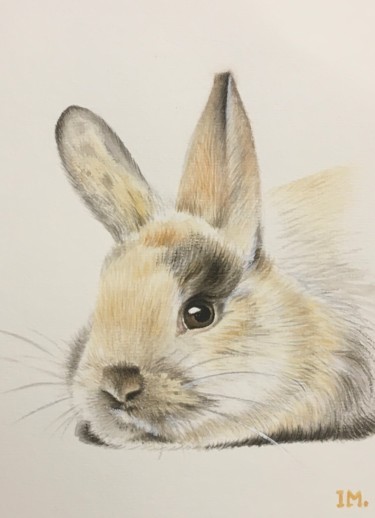 Peinture intitulée "Série Lulu n 7" par Isabelle Molinard, Œuvre d'art originale, Aquarelle
