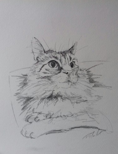 Drawing titled "Lulu" by Flachet, Original Artwork, Pencil