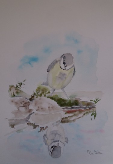 mésange Peinture intitulée "mésange" par Pascale Coutoux, Œuvre d'art originale, Aquarelle