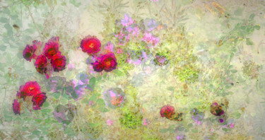 Fleurs célestes Photographie intitulée "Fleurs célestes" par Michel Guillaumeau, Œuvre d'art originale, Photographie numérique