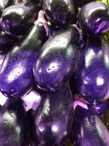 Photographie intitulée "Aubergines Nuance 2…" par Carlos Vieira, Œuvre d'art originale, Photographie non manipulée