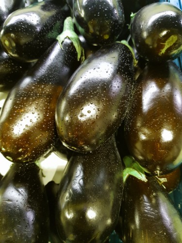 Photographie intitulée "Aubergines Nuance 2…" par Carlos Vieira, Œuvre d'art originale, Photographie non manipulée