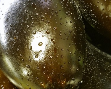 Photographie intitulée "Aubergines Nuance 2…" par Carlos Vieira, Œuvre d'art originale, Photographie non manipulée