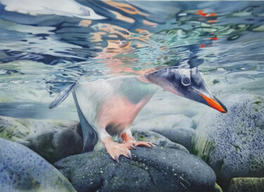Cautious gentoo penguin Peinture intitulée "Cautious gentoo pen…" par Chrisart.Aquarelle, Œuvre d'art originale, Aquarelle