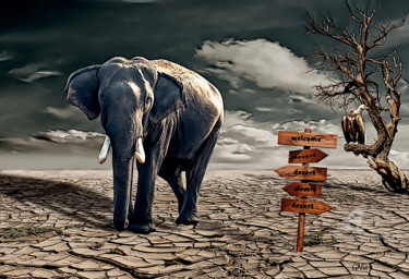 Digitale Kunst mit dem Titel "dry season" von Gor Don(Gnie), Original-Kunstwerk, Fotomontage