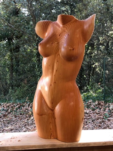 peau de velours