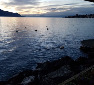 Photographie intitulée "Lac 2019 (ref.17102…" par Carlos Vieira, Œuvre d'art originale, Photographie non manipulée