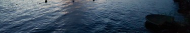 Photographie intitulée "Lac 2019 (ref.17121…" par Carlos Vieira, Œuvre d'art originale, Photographie non manipulée