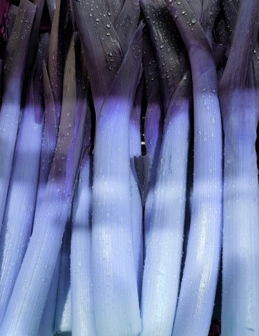 Photographie intitulée "Poireaux Frais 2019…" par Carlos Vieira, Œuvre d'art originale, Photographie non manipulée