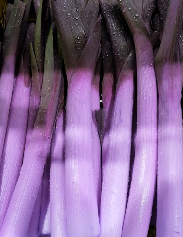 Photographie intitulée "Poireaux Frais 2019…" par Carlos Vieira, Œuvre d'art originale, Photographie non manipulée