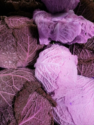Photographie intitulée "Choux Frais 2019 (r…" par Carlos Vieira, Œuvre d'art originale, Photographie non manipulée