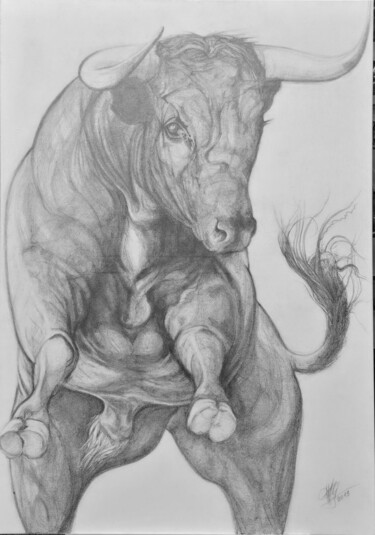 「Miura taureau de co…」というタイトルの描画 Florence Marceau-Godartによって, オリジナルのアートワーク, 鉛筆 ウッドストレッチャーフレームにマウント