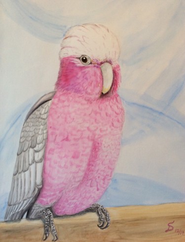 Malerei mit dem Titel "Rosakakadu" von Stefan Dhein, Original-Kunstwerk, Aquarell