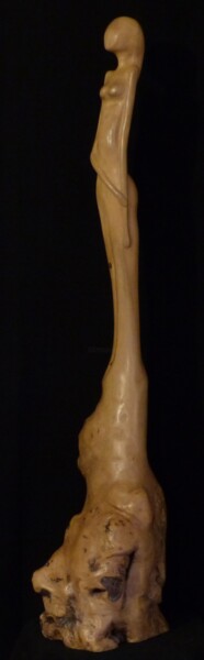 Racine de Voyage Sculpture intitulée "Racine de Voyage" par Claude David, Œuvre d'art originale, Bois