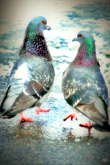 Photography titled "The Game Of Love" by Bavosi Photoart, Original Artwork, Digital Photography