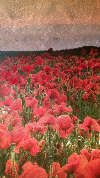 Digital Arts titled "Gentils coquelicots…" by Emma Laflute, Original Artwork, Digital Painting
