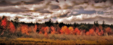 Photography titled "Francestown New Ham…" by Bavosi Photoart, Original Artwork, Digital Photography
